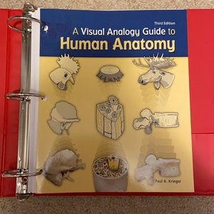 HUMAN ANATOMY WORK BOOK